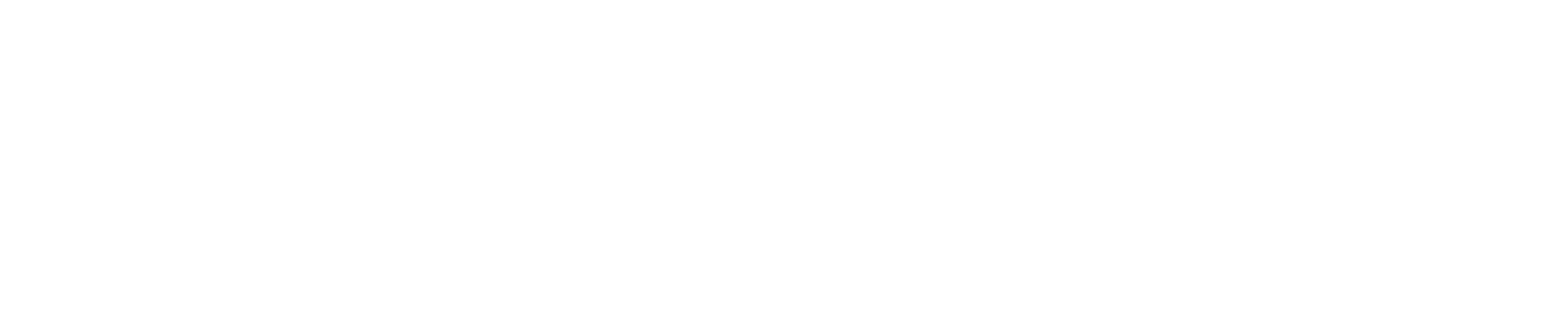 Logo-resolve-1